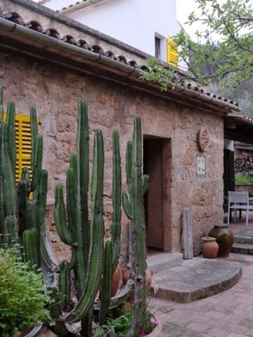 פוארטו דה אנדרטקס Hostal Catalina Vera מראה חיצוני תמונה